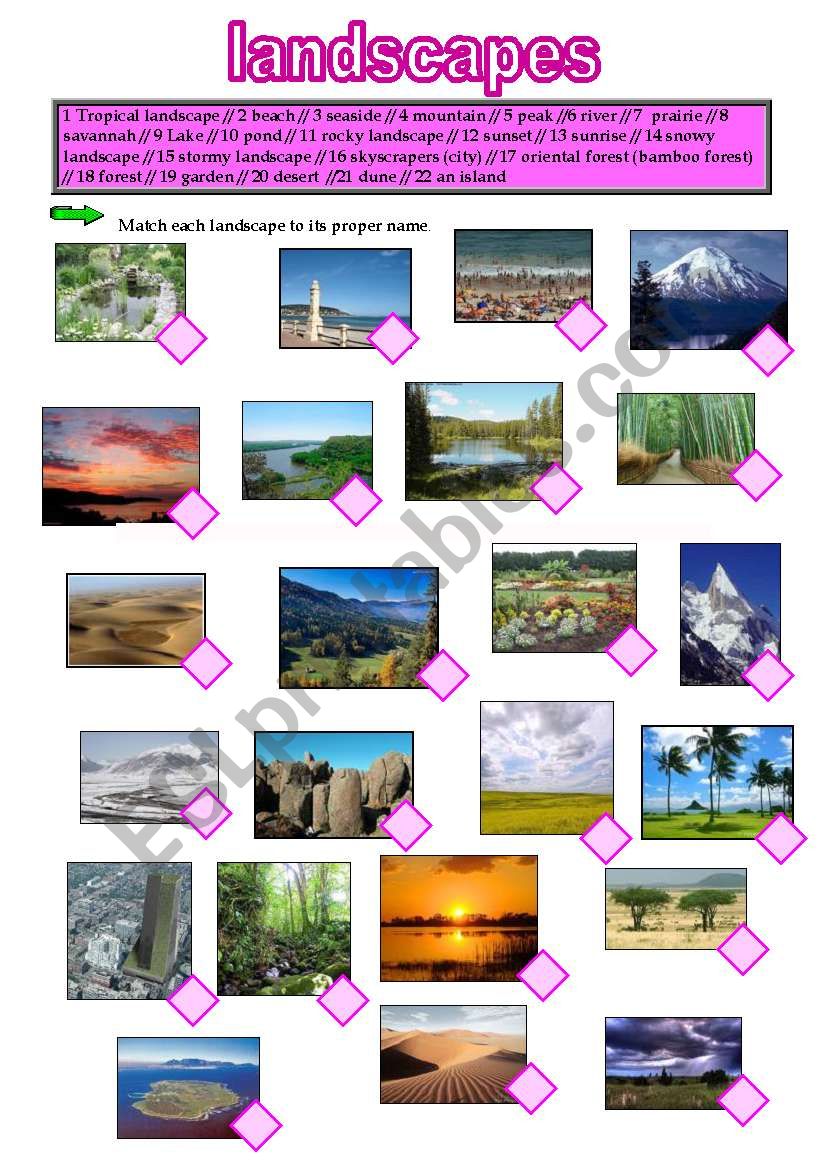 LANDSCAPES worksheet