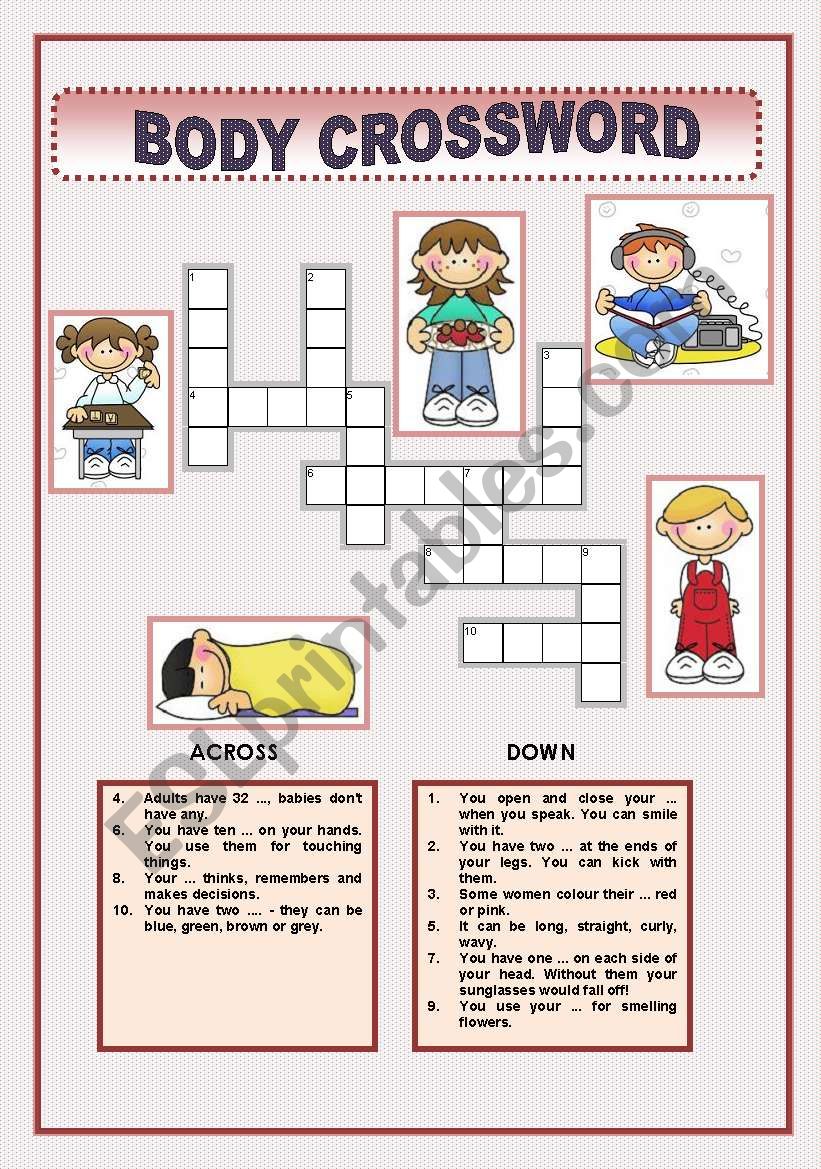 BODY -CROSSWORD worksheet