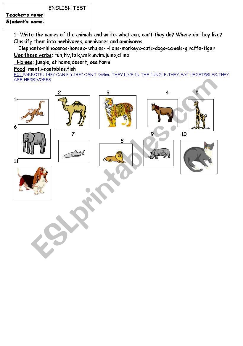 animals worksheet