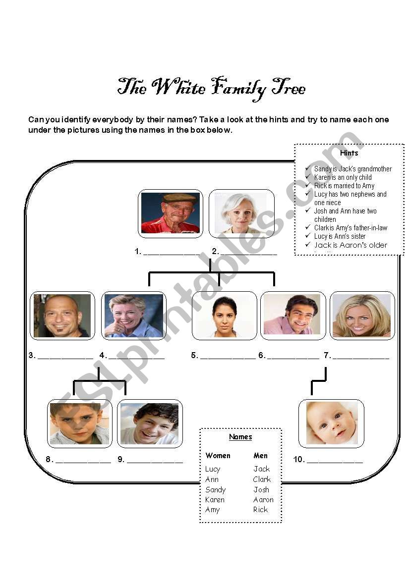 Family Tree worksheet