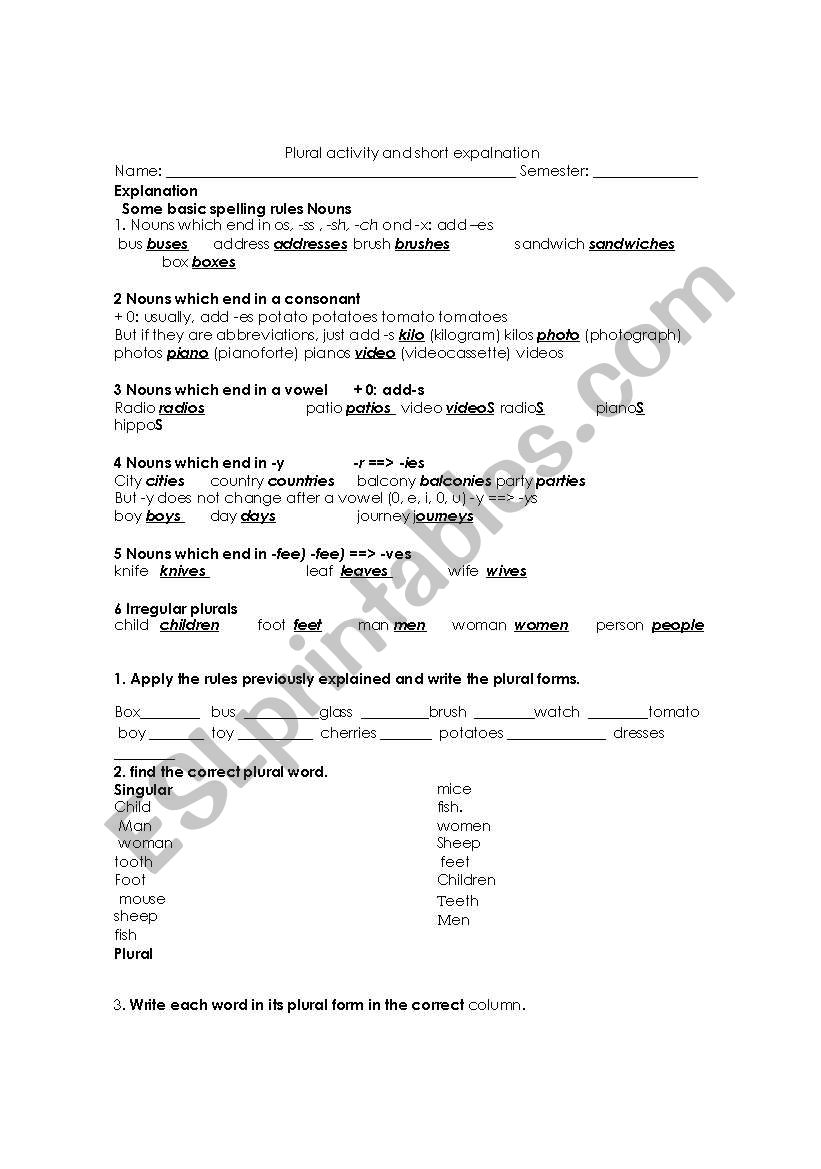 plural worksheet worksheet