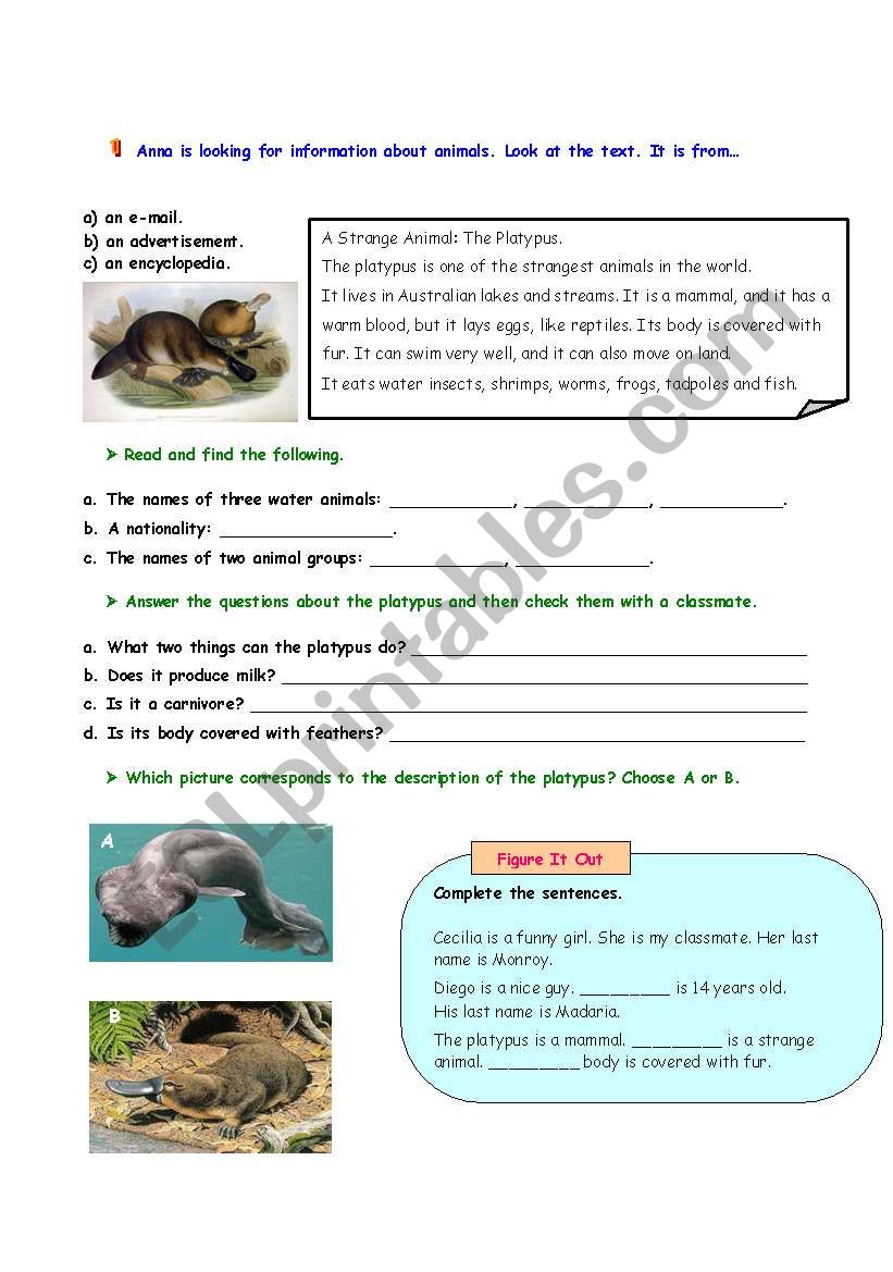 PLATYPUS .- READING worksheet