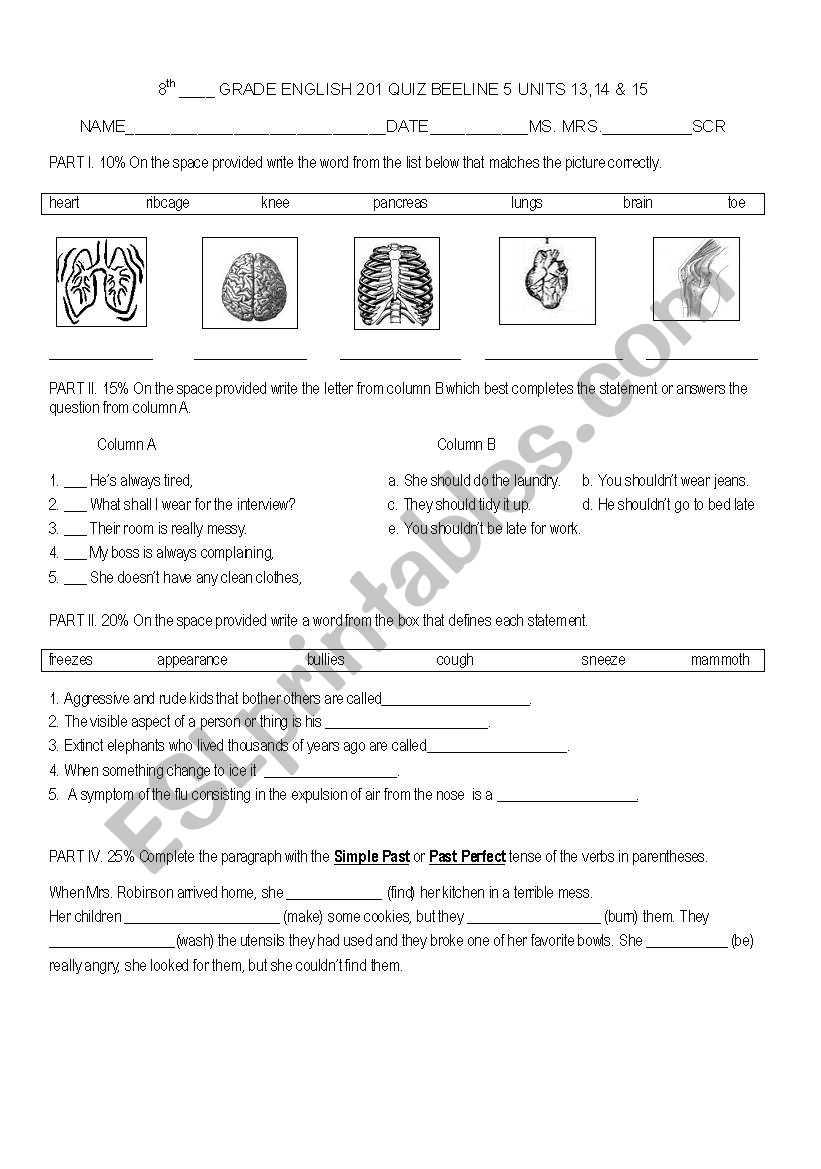 should/shouldnt-past perfect worksheet