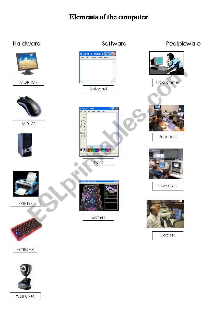 ELEMENTS OF THE COMPUTER worksheet