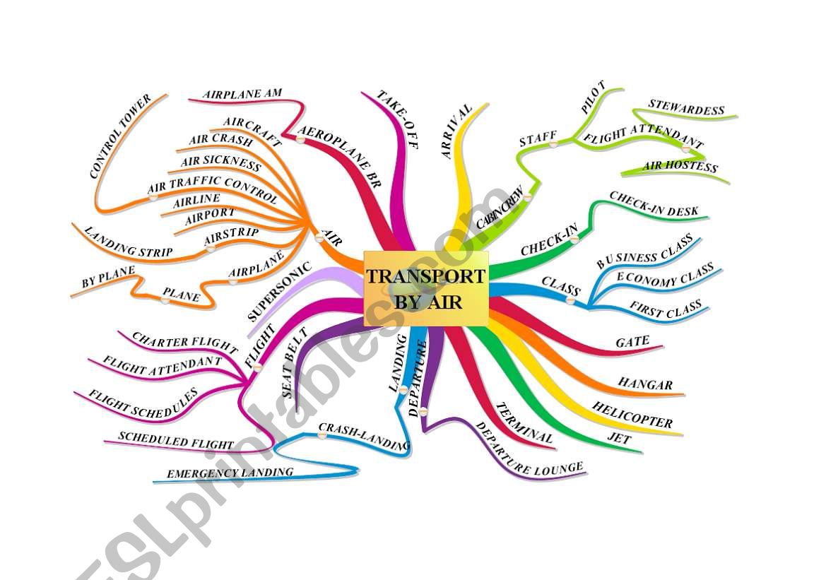 TRANSPORT BY AIR worksheet