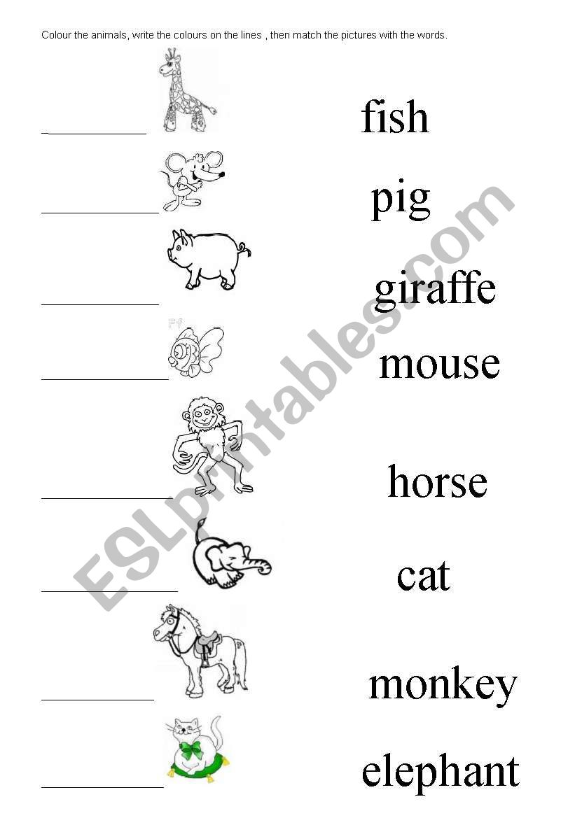 Animal Match and Color worksheet