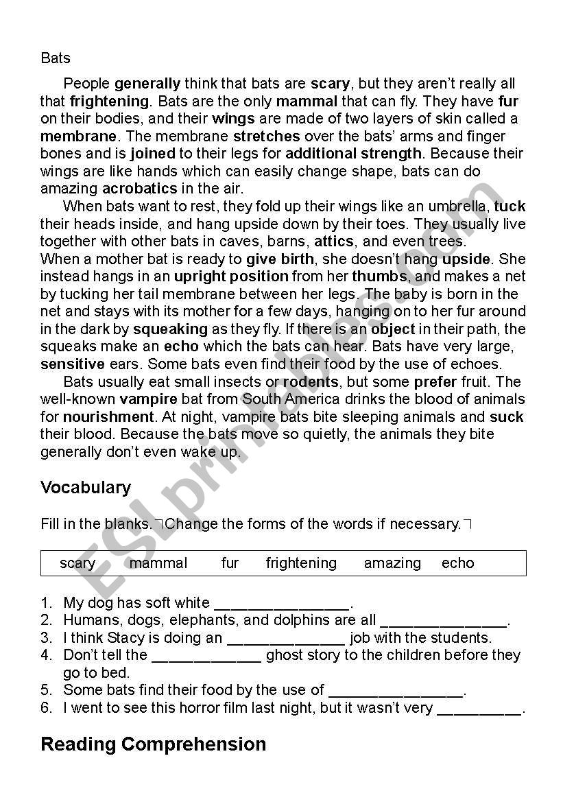 Bats Reading Comprehension - ESL worksheet by kangaroo1106