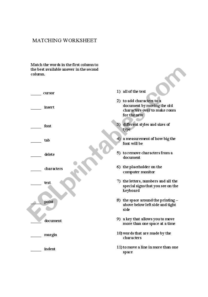 Matching Worksheet worksheet