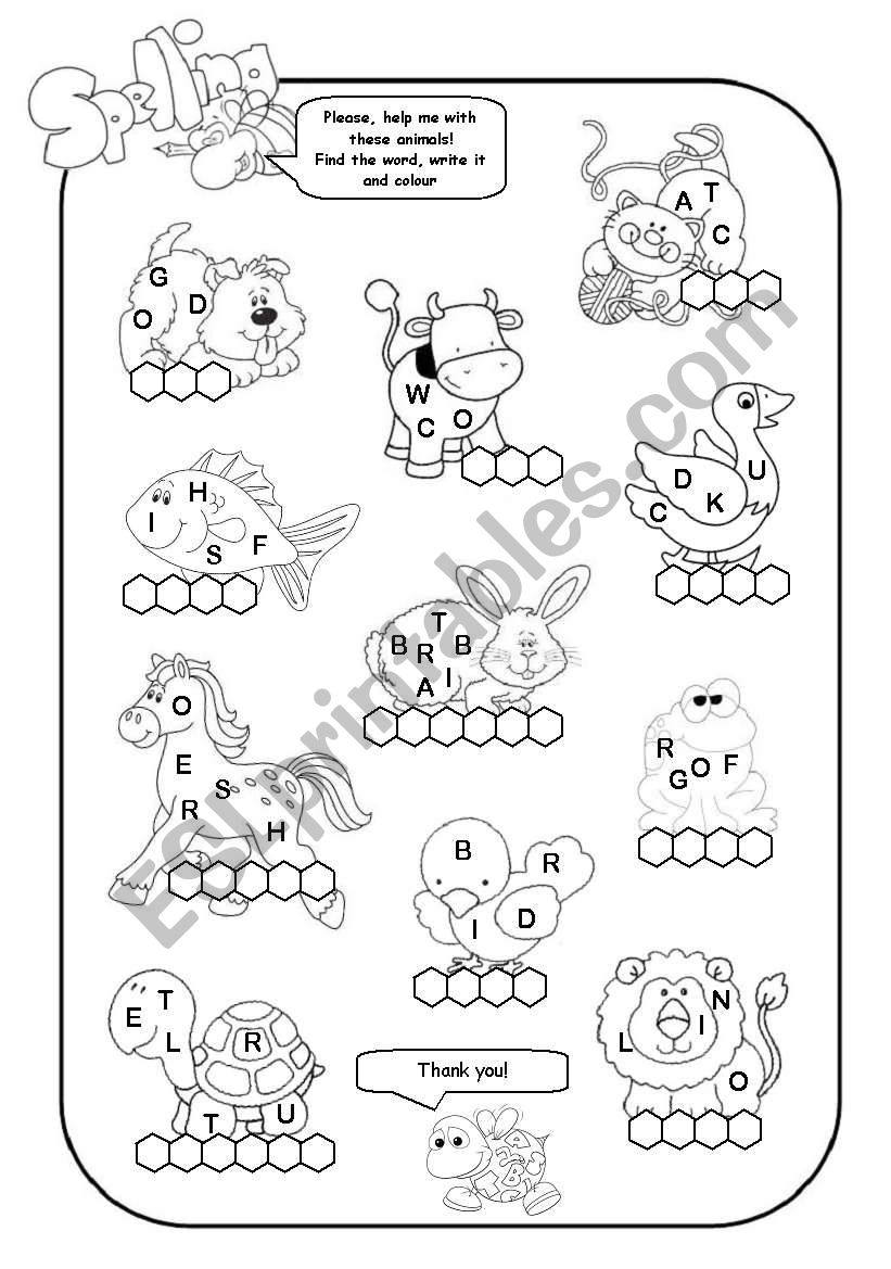 ANIMALS worksheet