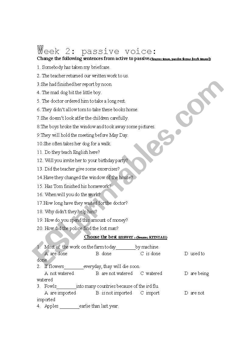 passive voice  worksheet