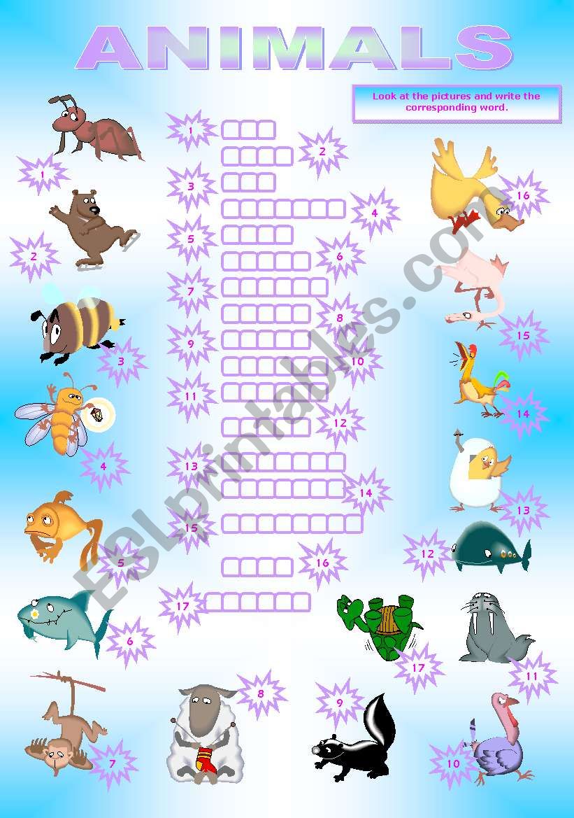 ANIMALS SPELLING worksheet