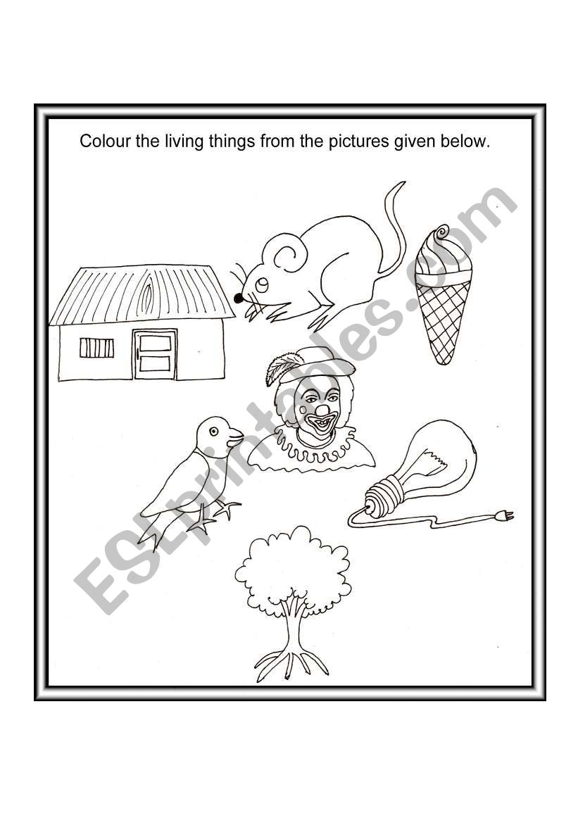LIVING, NON-LIVING worksheet