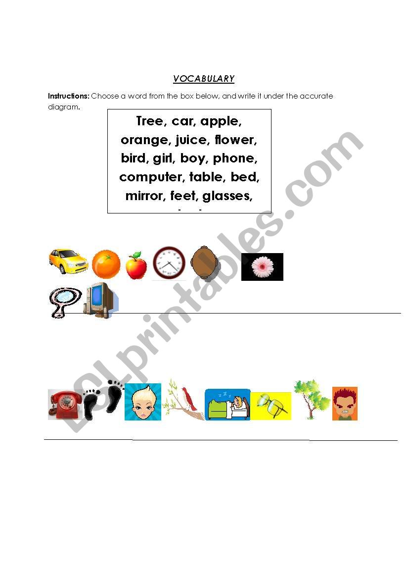 Everyday Vocabulary worksheet