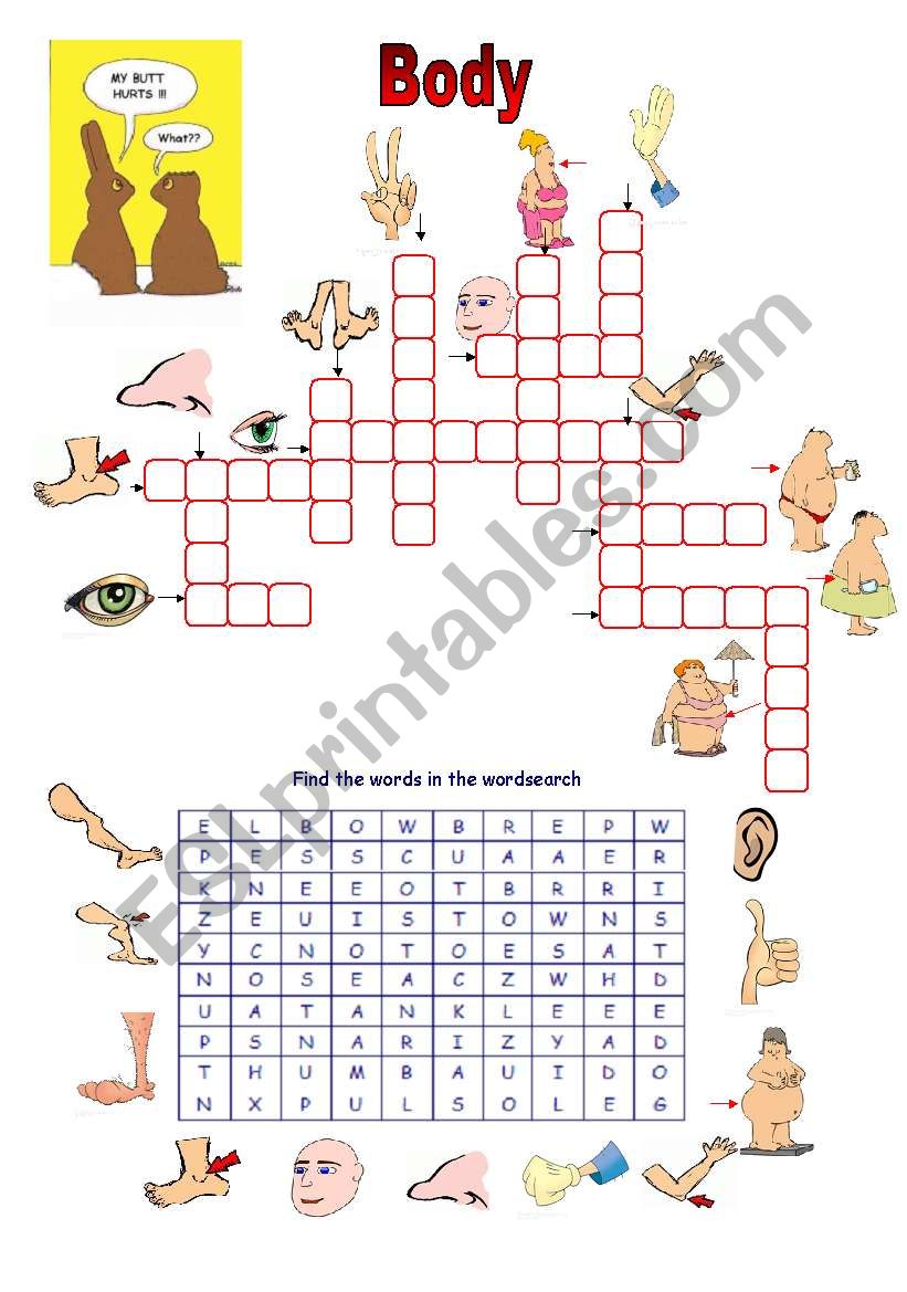 Parts of the body (15.08.09) worksheet