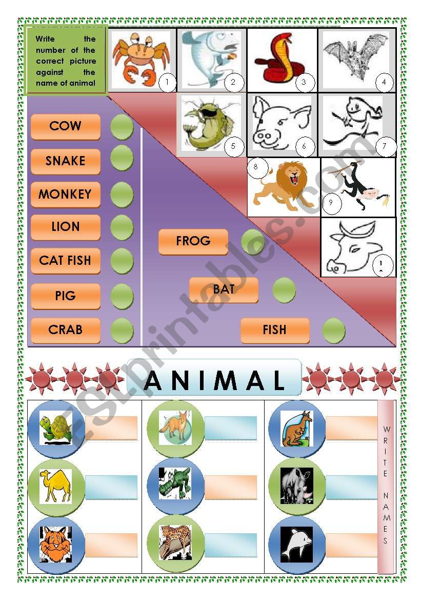 Animals-Vocabulary(Matching and Identifying)