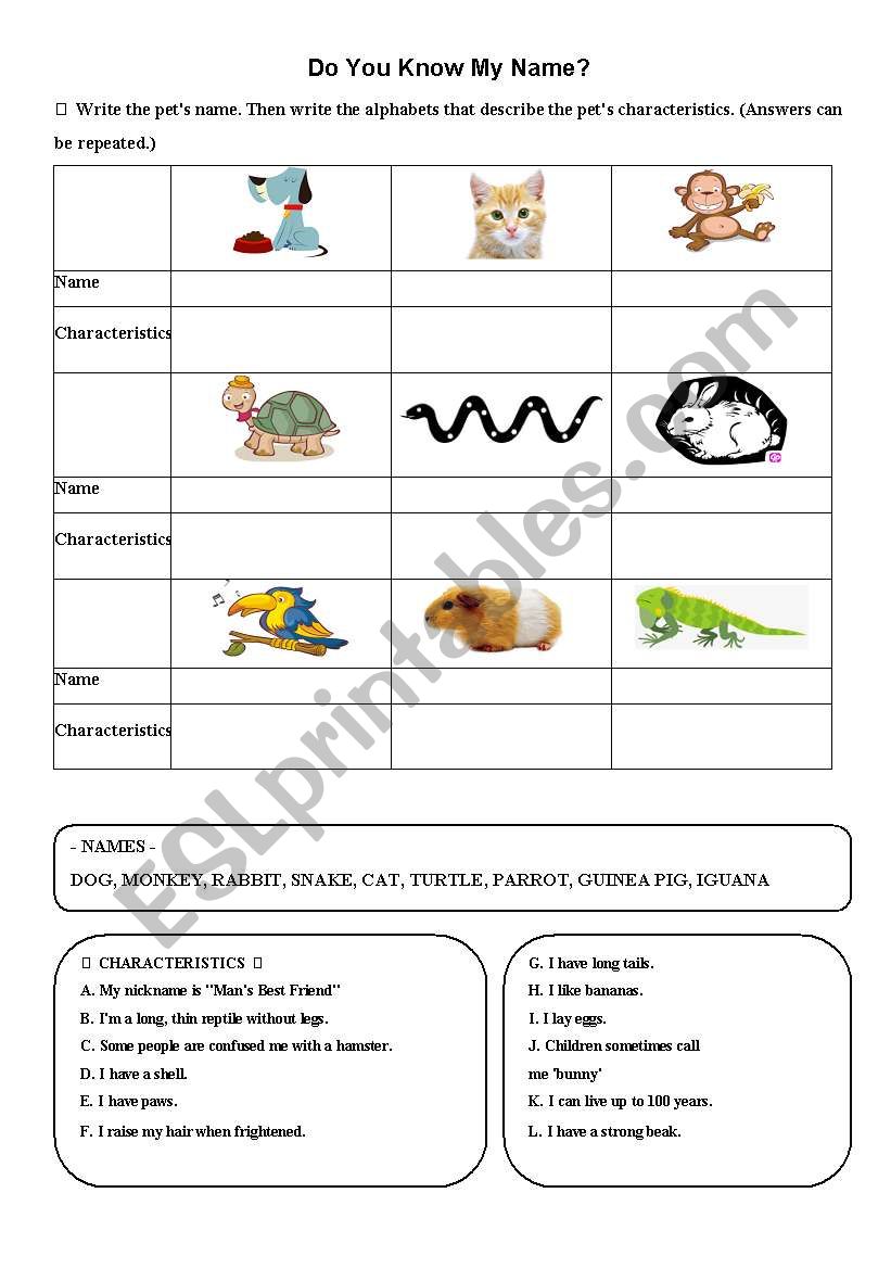 Pets and Characteristics worksheet