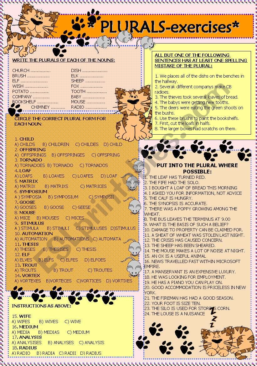 plurals- exercises worksheet