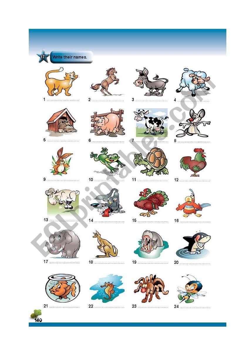 animals worksheet