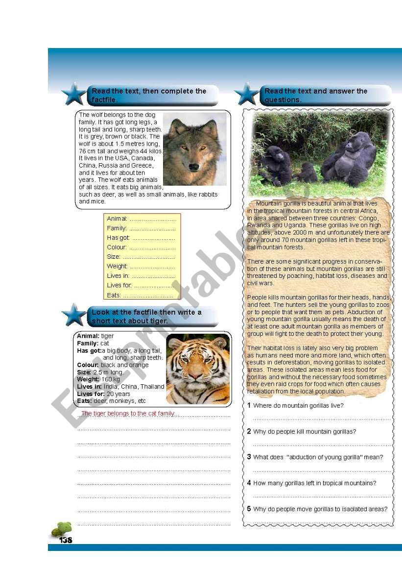 animal fact file worksheet
