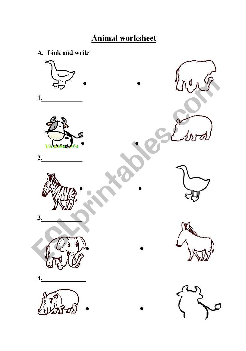 animal worksheet