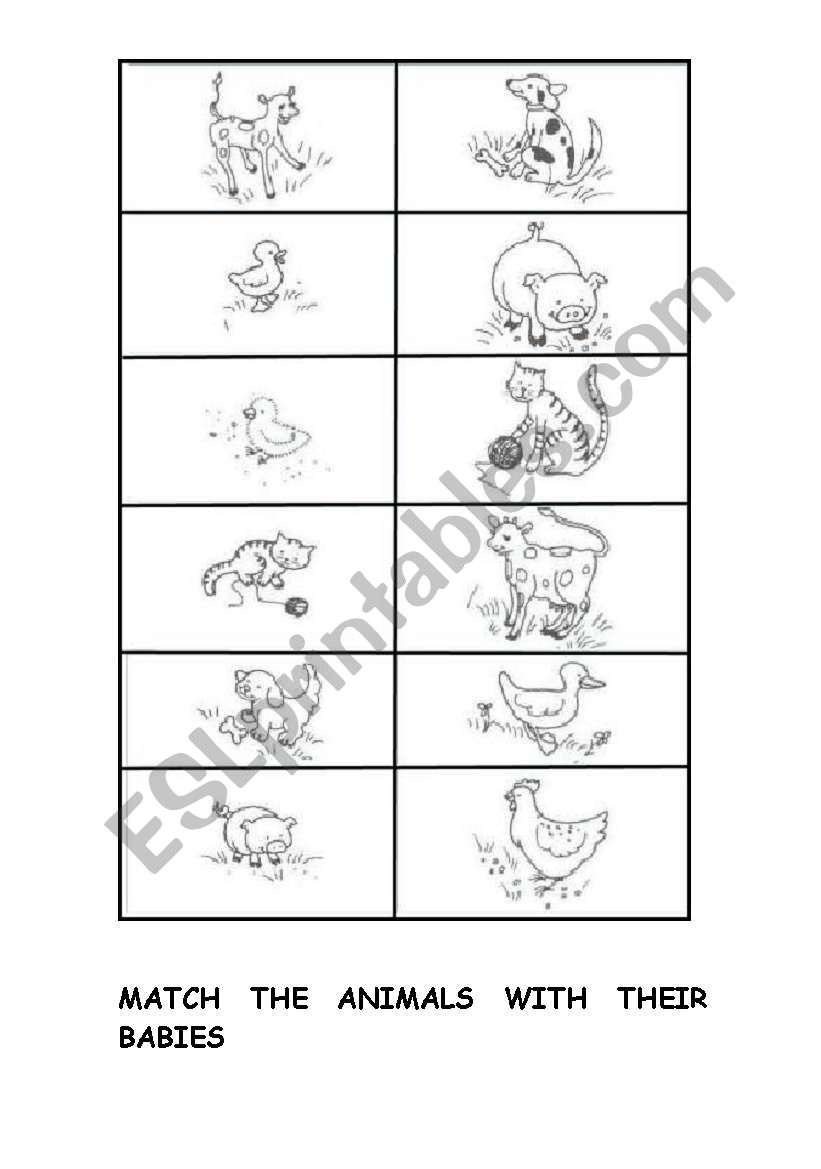 Animals and babies worksheet