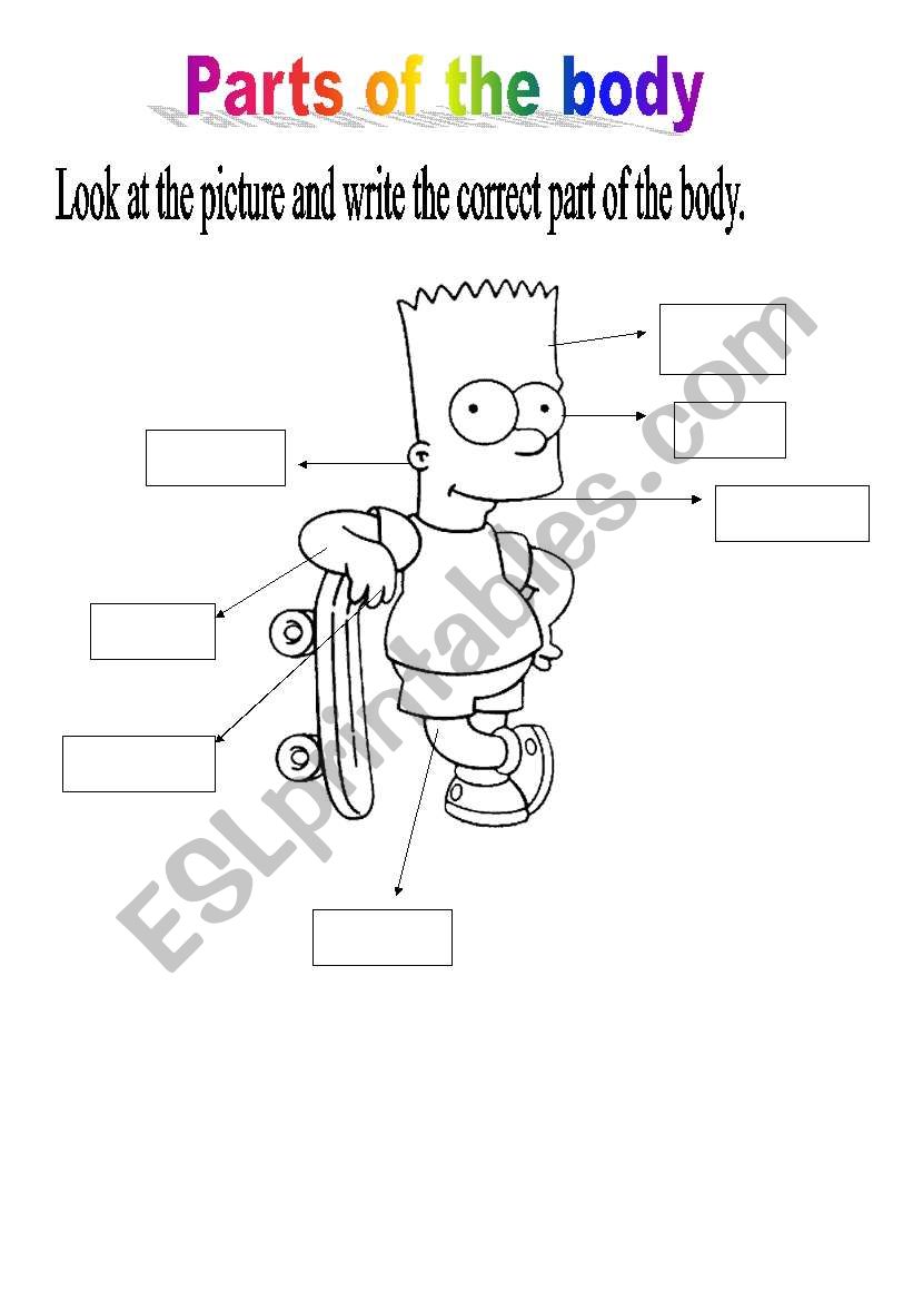 Parts of the body - ESL worksheet by joy_elo