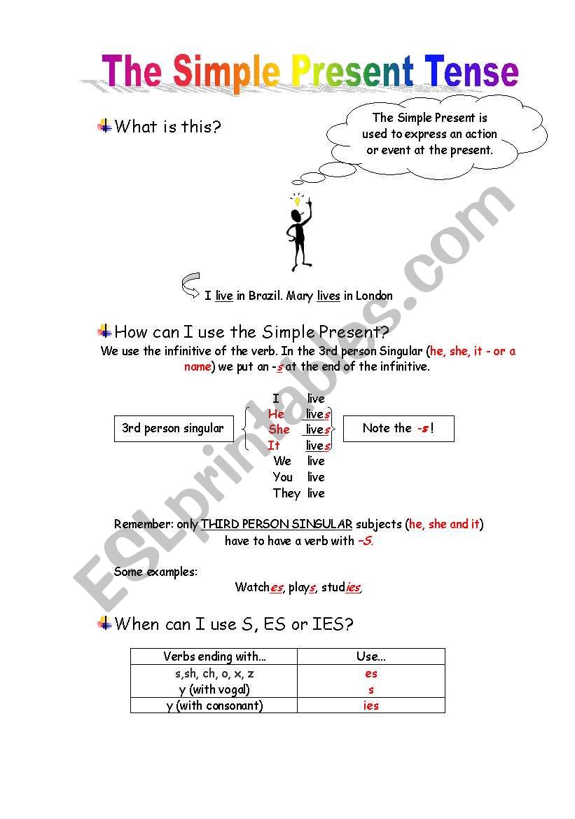 Simple Present Lesson worksheet