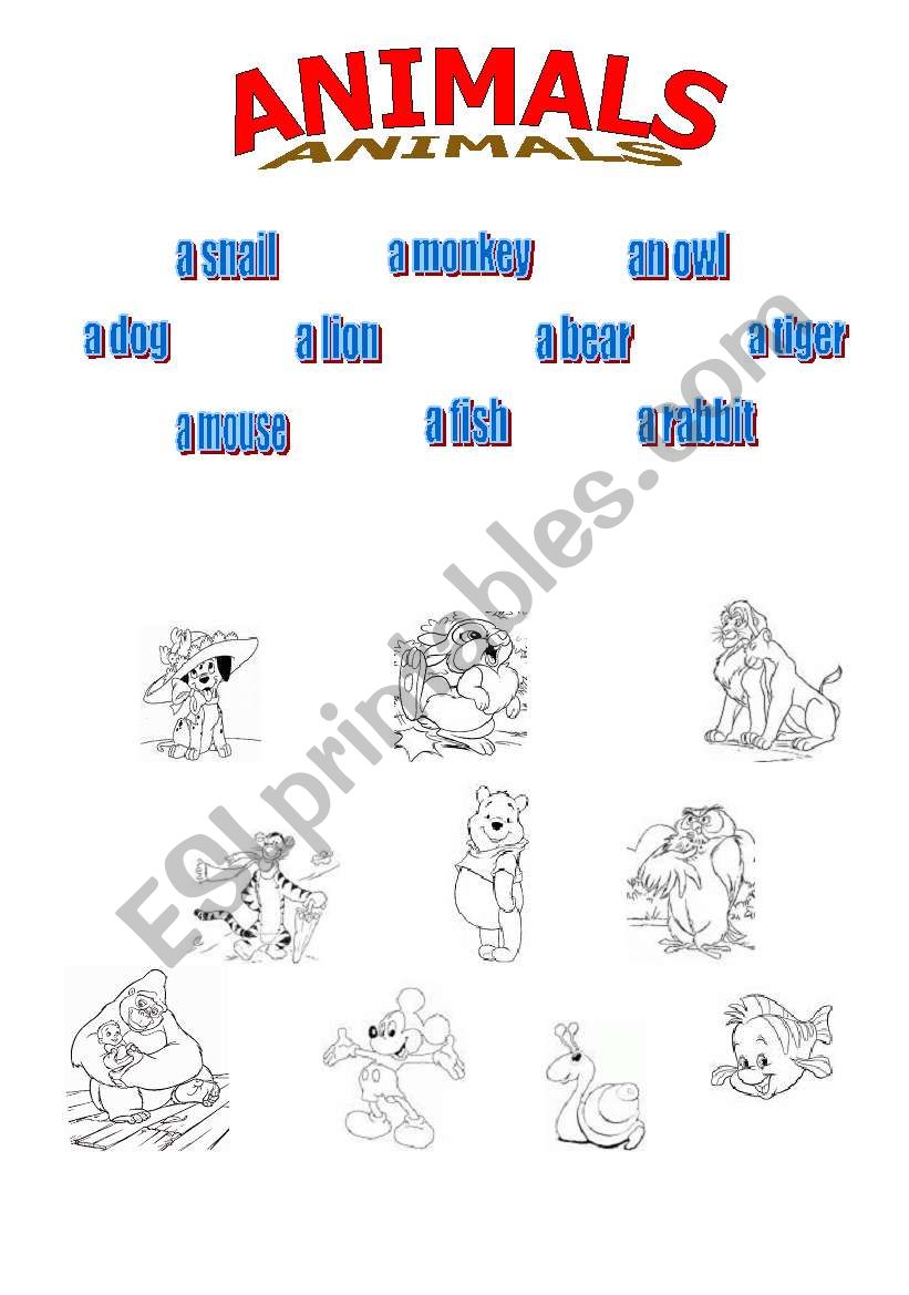 Animals worksheet