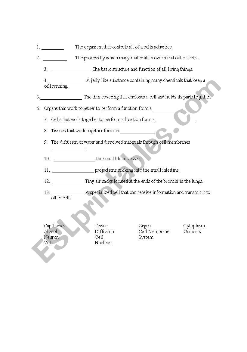 5th Grade Science worksheet