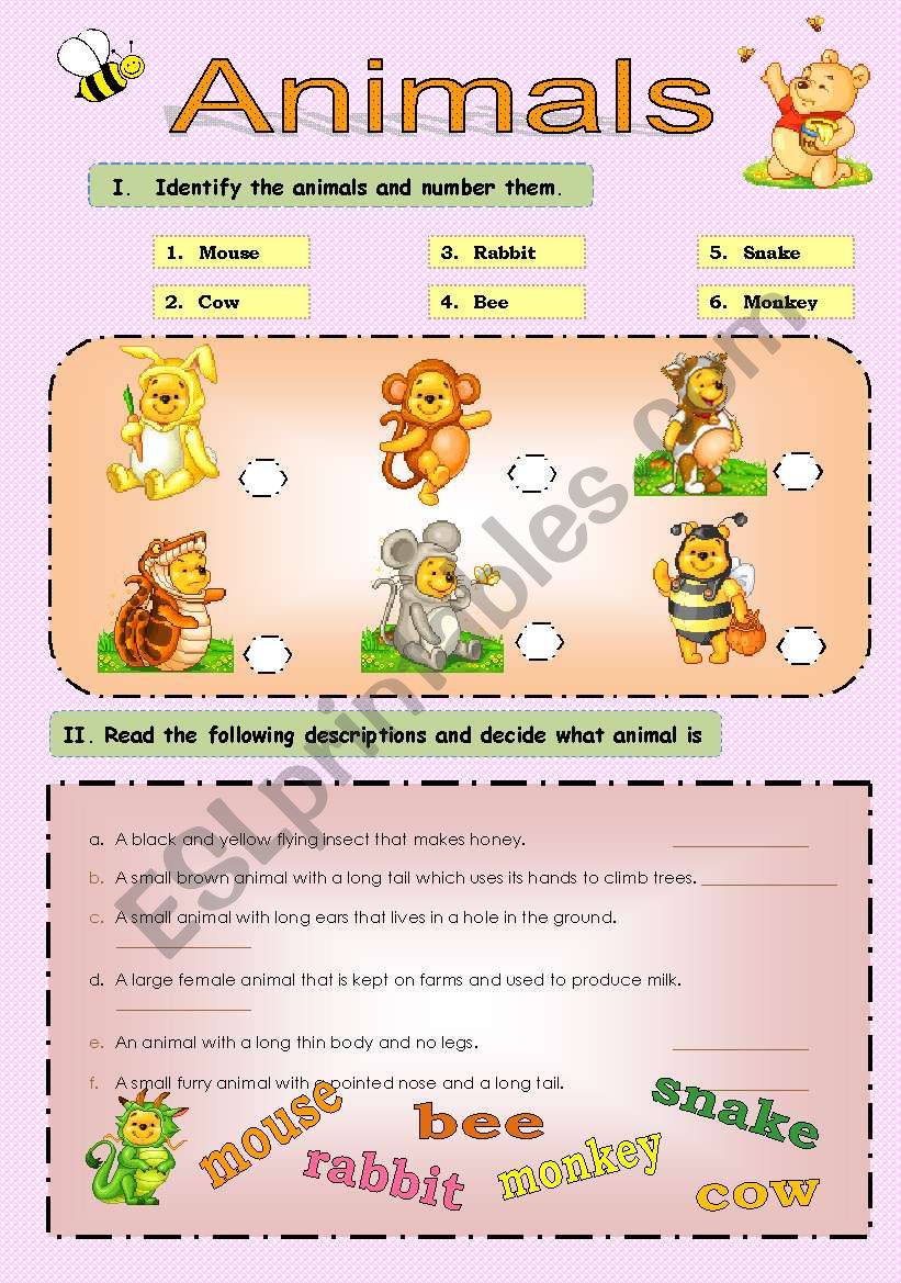 animals  worksheet