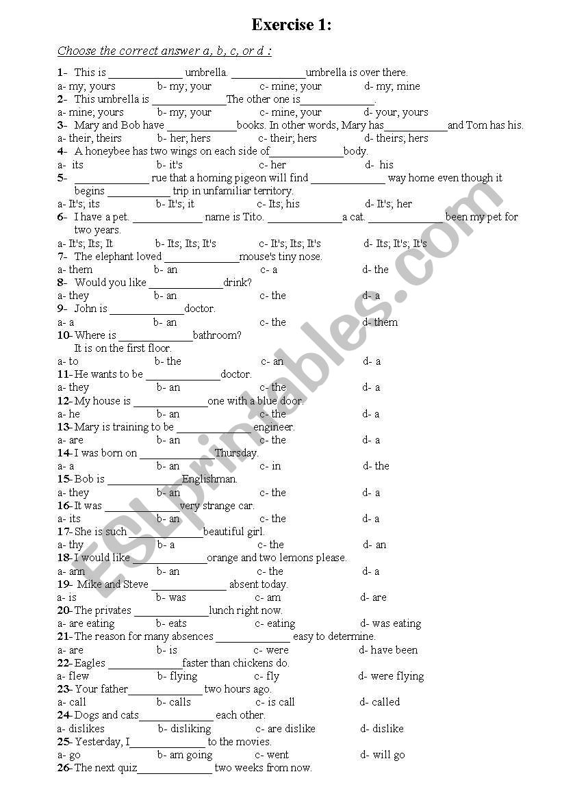 Exercise about adjectives articles pronouns simple tenses  adverbs