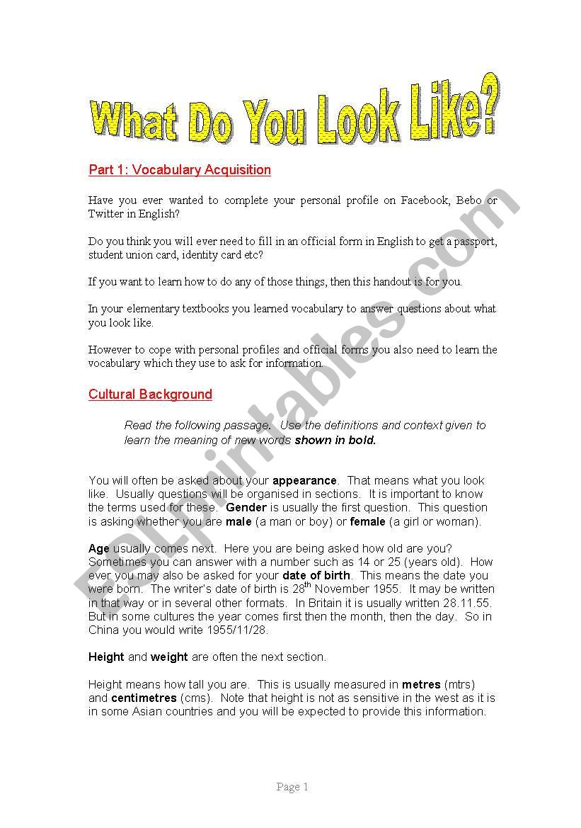 What Do You Look Like? worksheet
