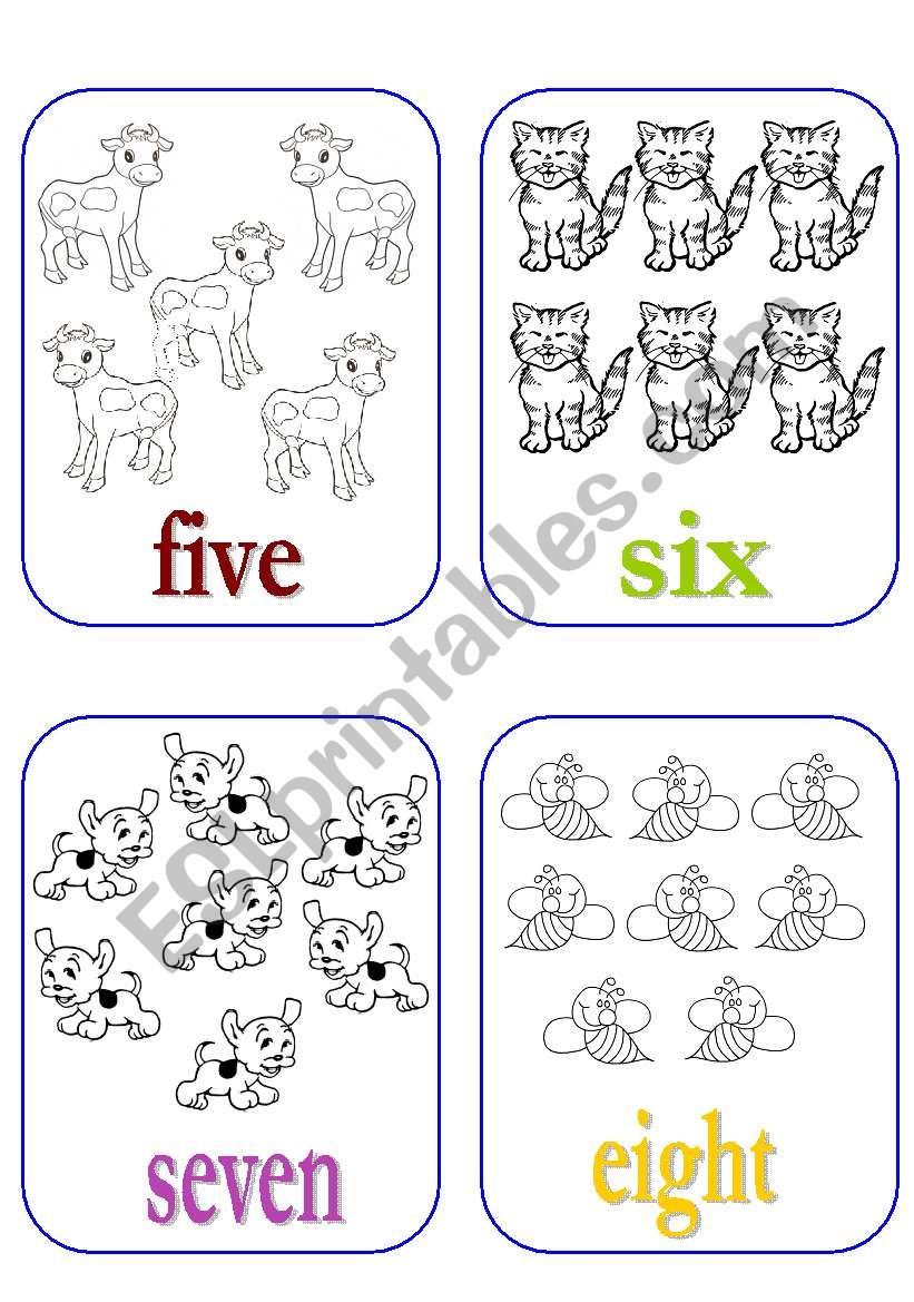 Number Flash Cards worksheet