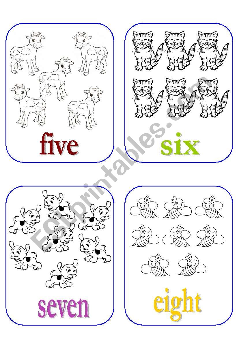 Number Flash Cards worksheet