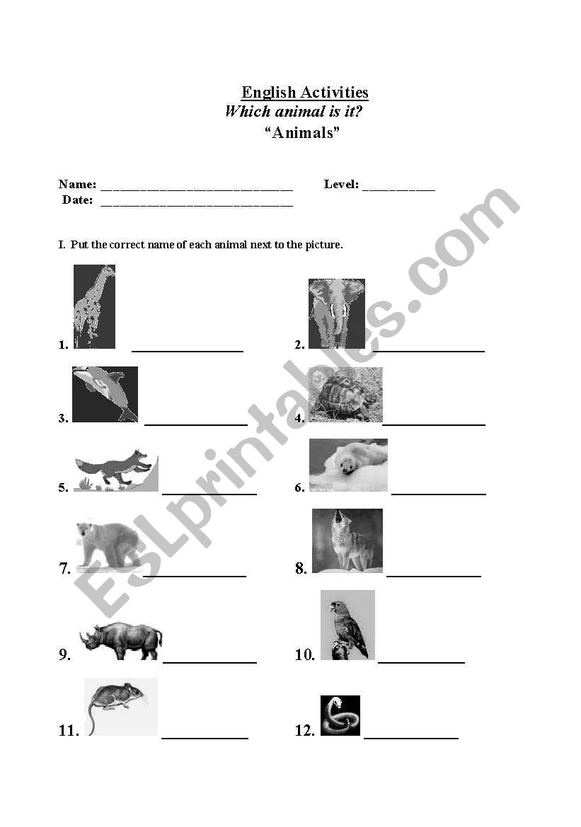 Animals worksheet