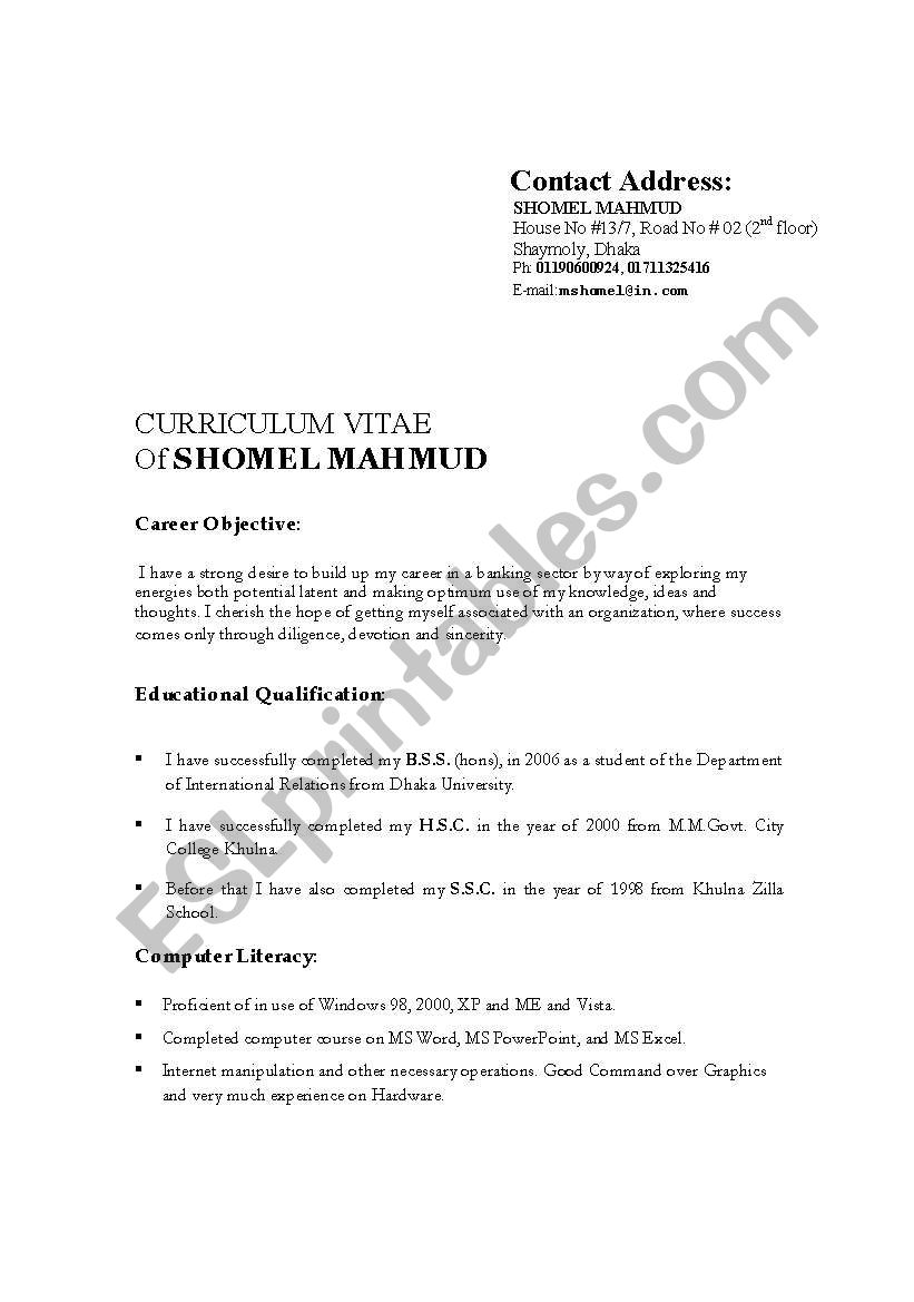 Curriculum vita form structure-1