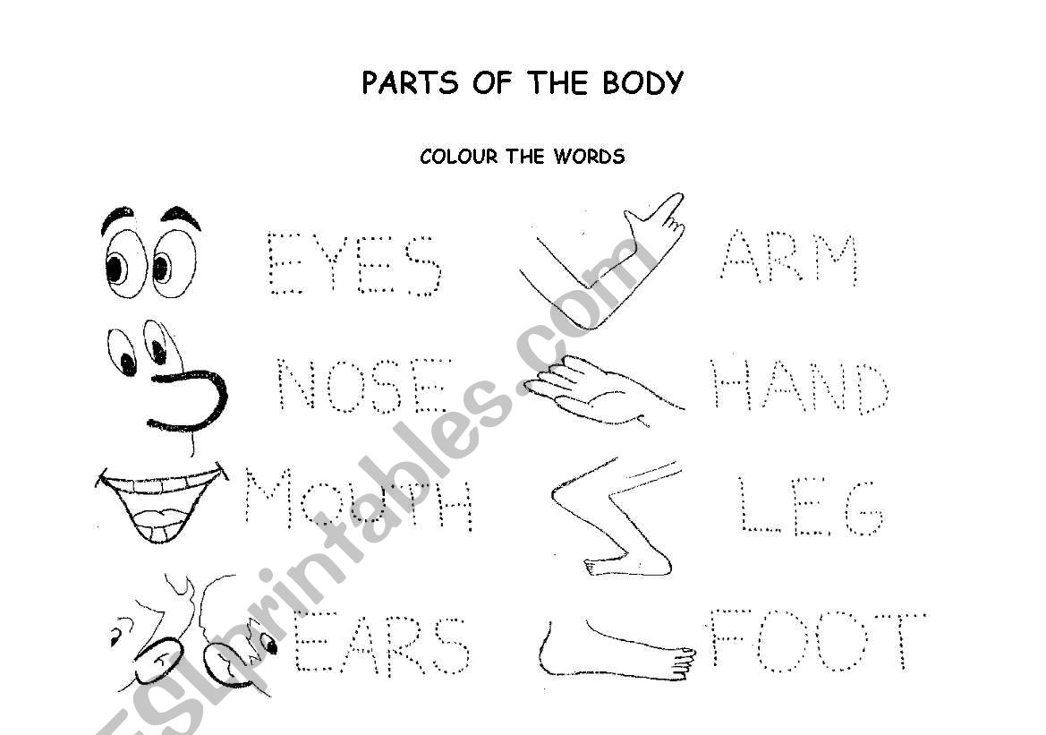 My Body Glossary worksheet