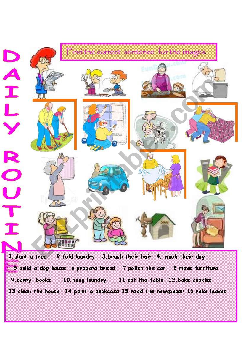 Daily Routine worksheet