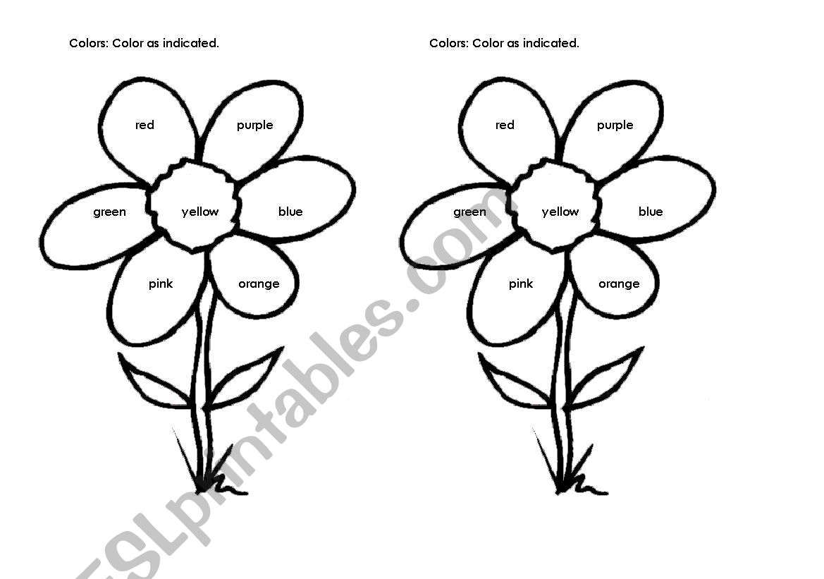 colors worksheet