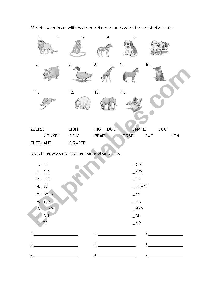 wild animals worksheet