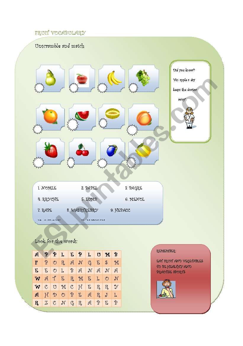 FRUIT VOCABULARY worksheet