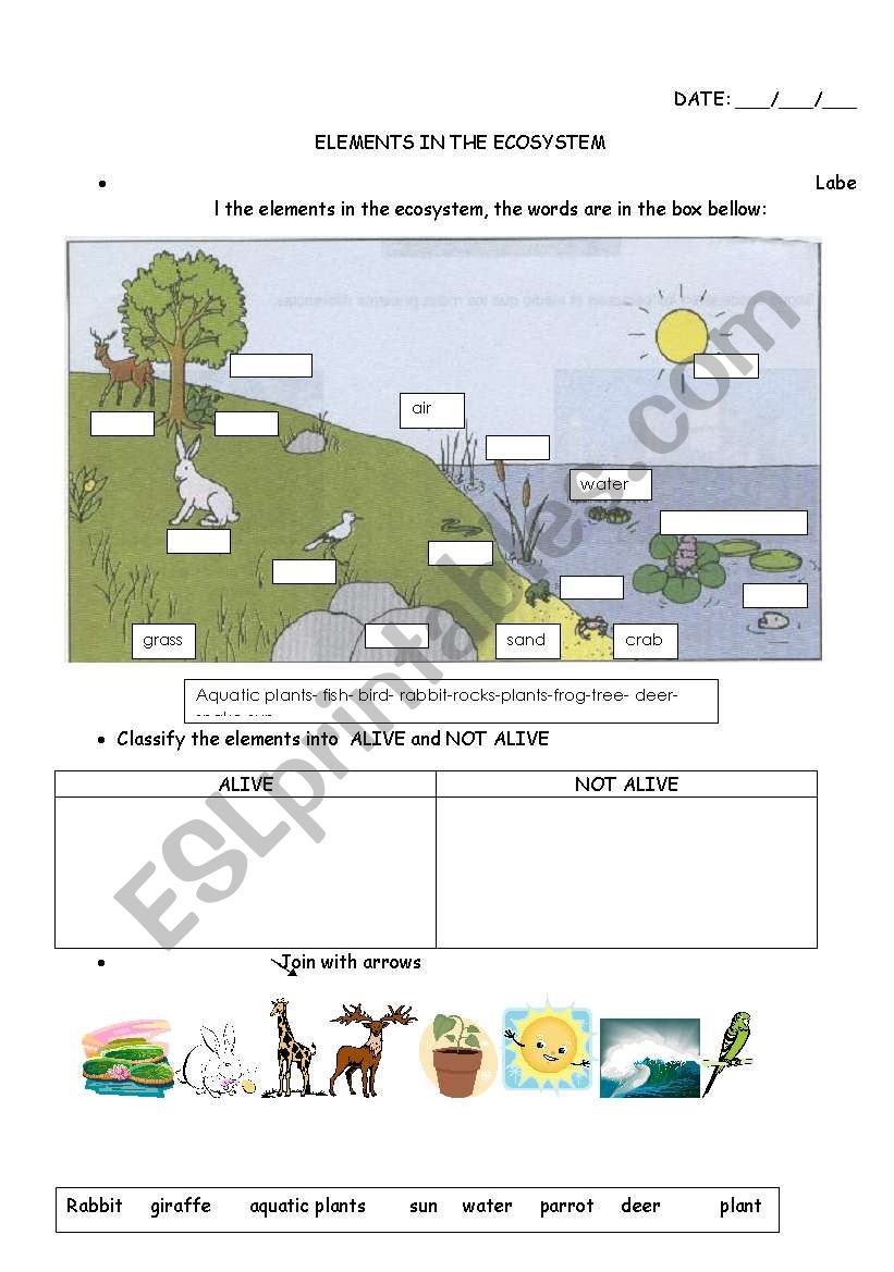 free-printable-ecosystem-worksheets-pdf-printable-word-searches