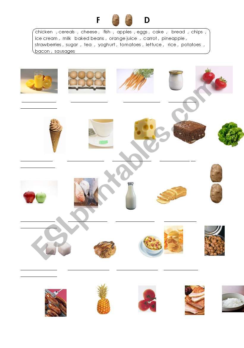 Food worksheet
