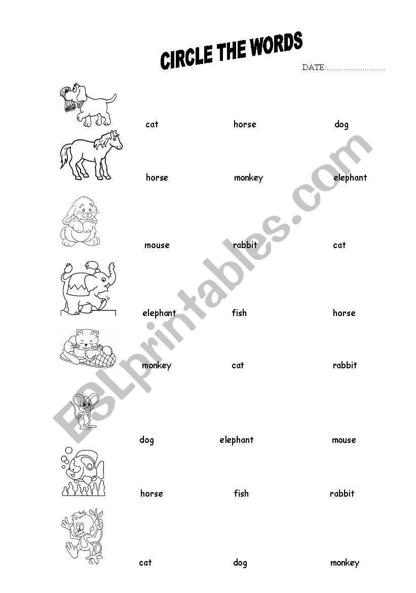 Animals worksheet