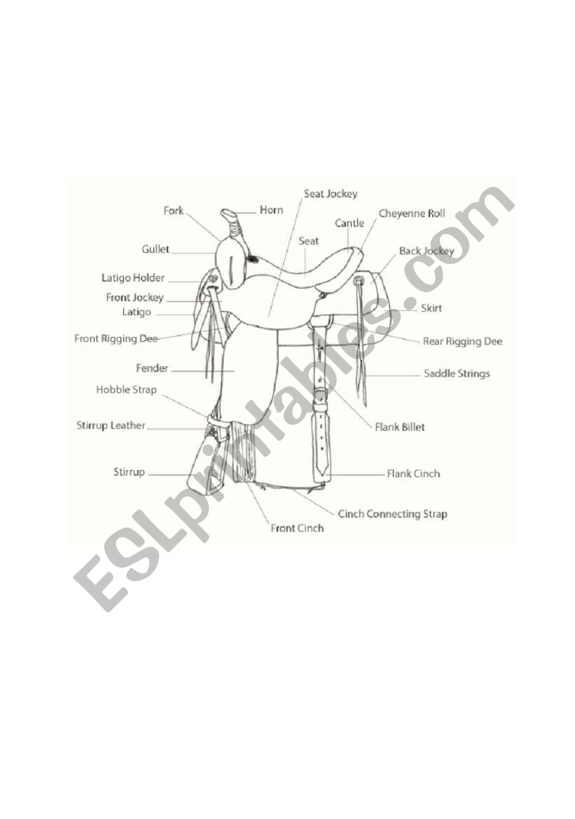 Saddle parts worksheet