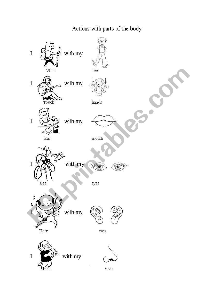 Actins with parts of the body worksheet