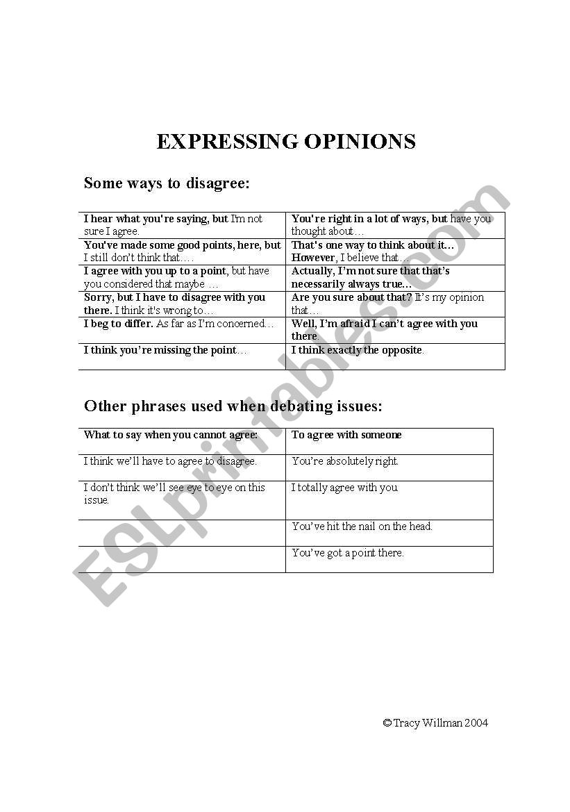 Debating Issues  worksheet