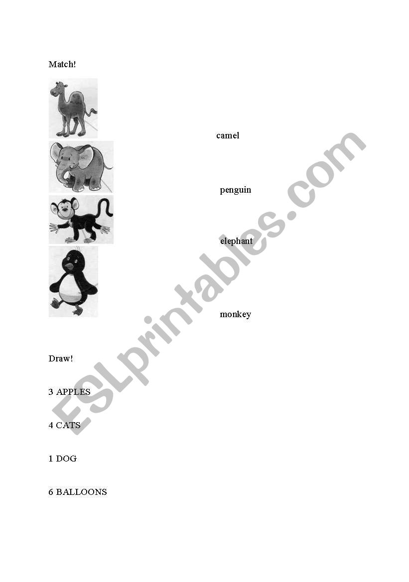 Animals worksheet