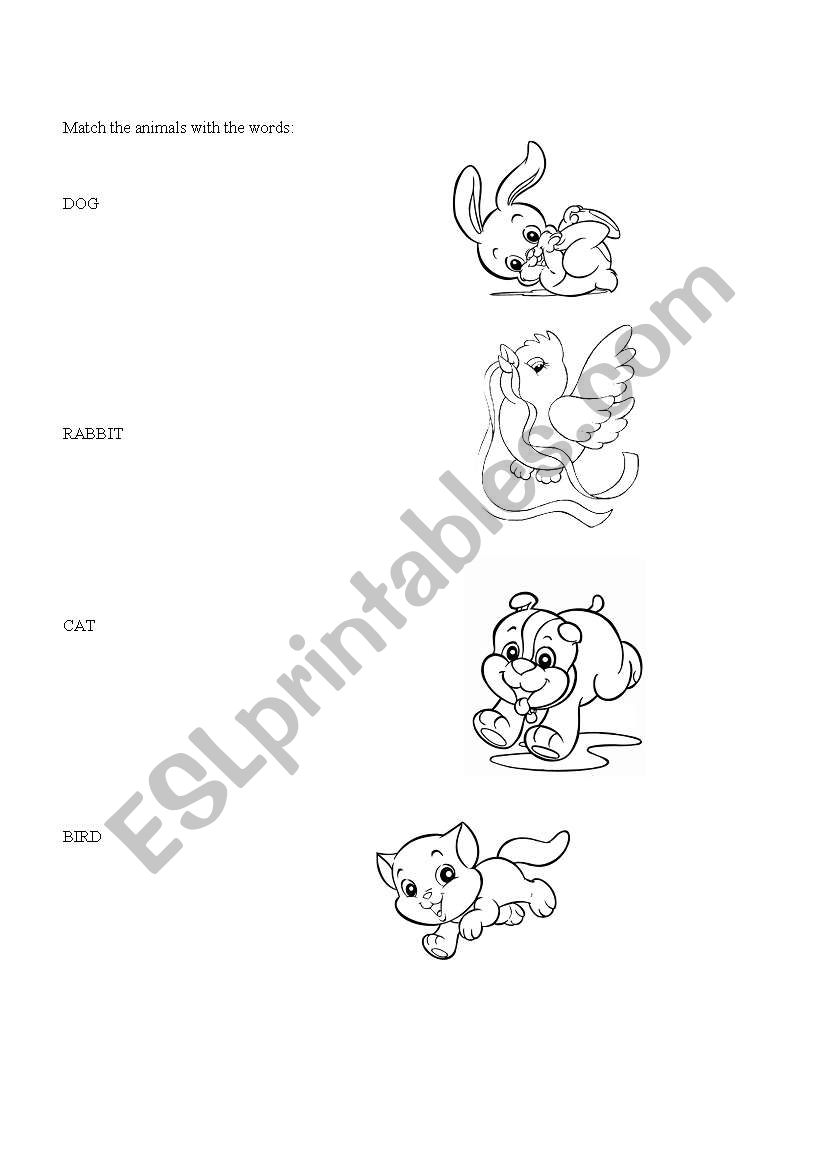 animals worksheet