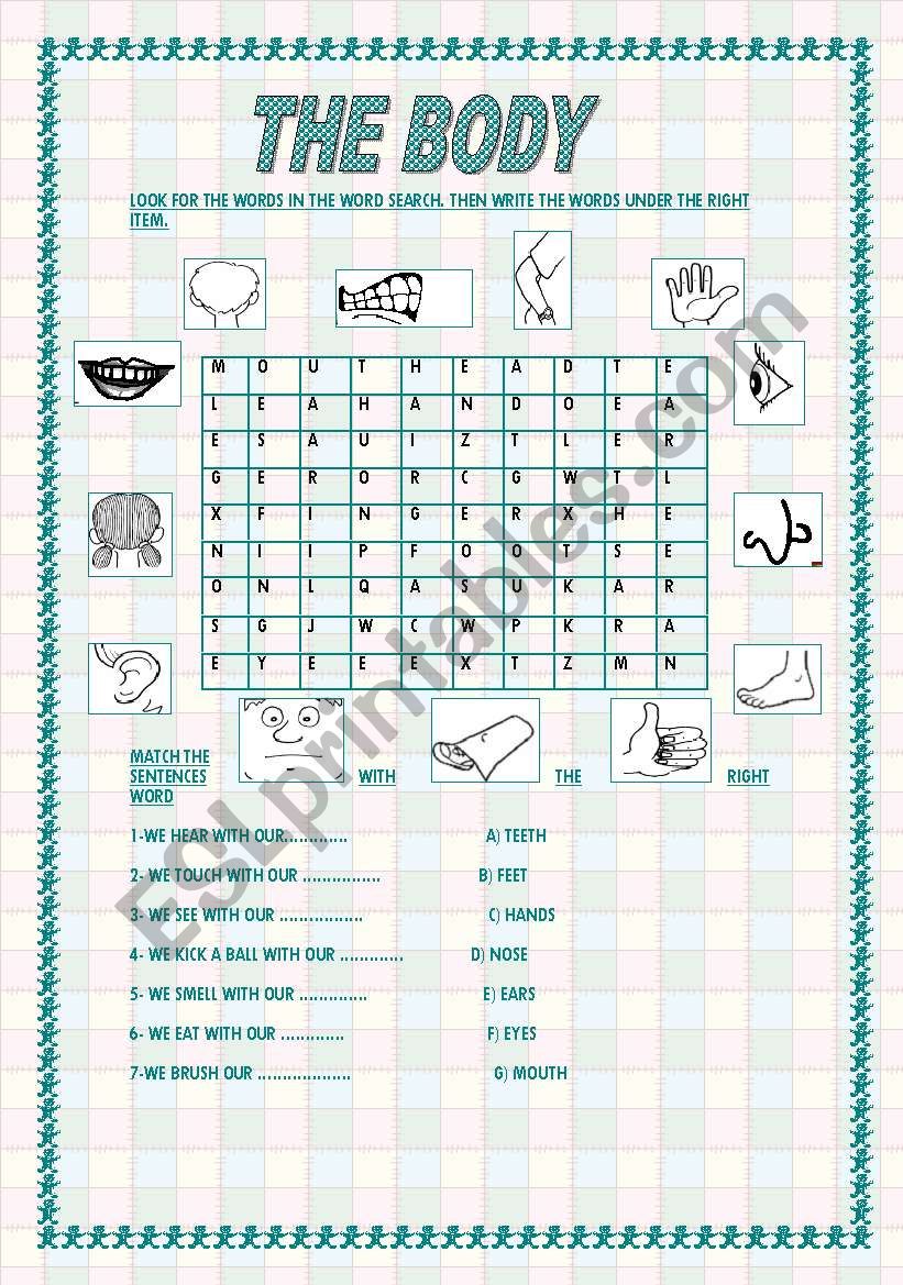 THE BODY worksheet